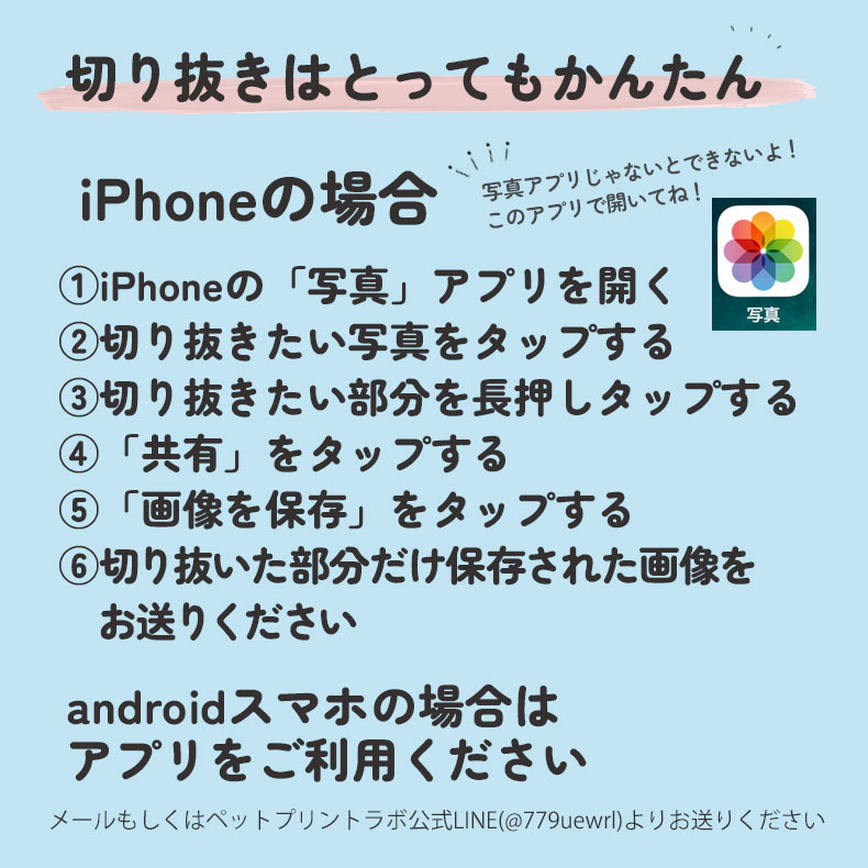 アクリルキーホルダー 4cm アクキー [3個目無料/送料無料] うちの子 うちのこ オリジナル オーダー オーダーメイド ペット 犬 猫 動物 子ども 赤ちゃん 家族 プレゼント