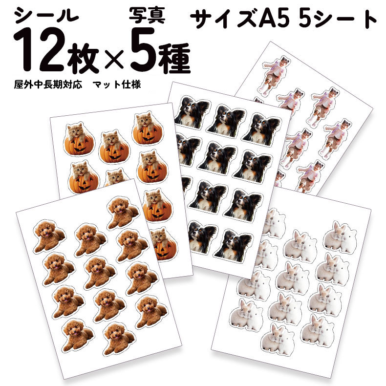 うちの子 シール ステッカー オ リジナルステッカー 写真 オーダ ーメイド 12枚×5種類 ペット 犬 猫 子ども 赤ちゃん オフ会 イ ベント ペットプリントラボ