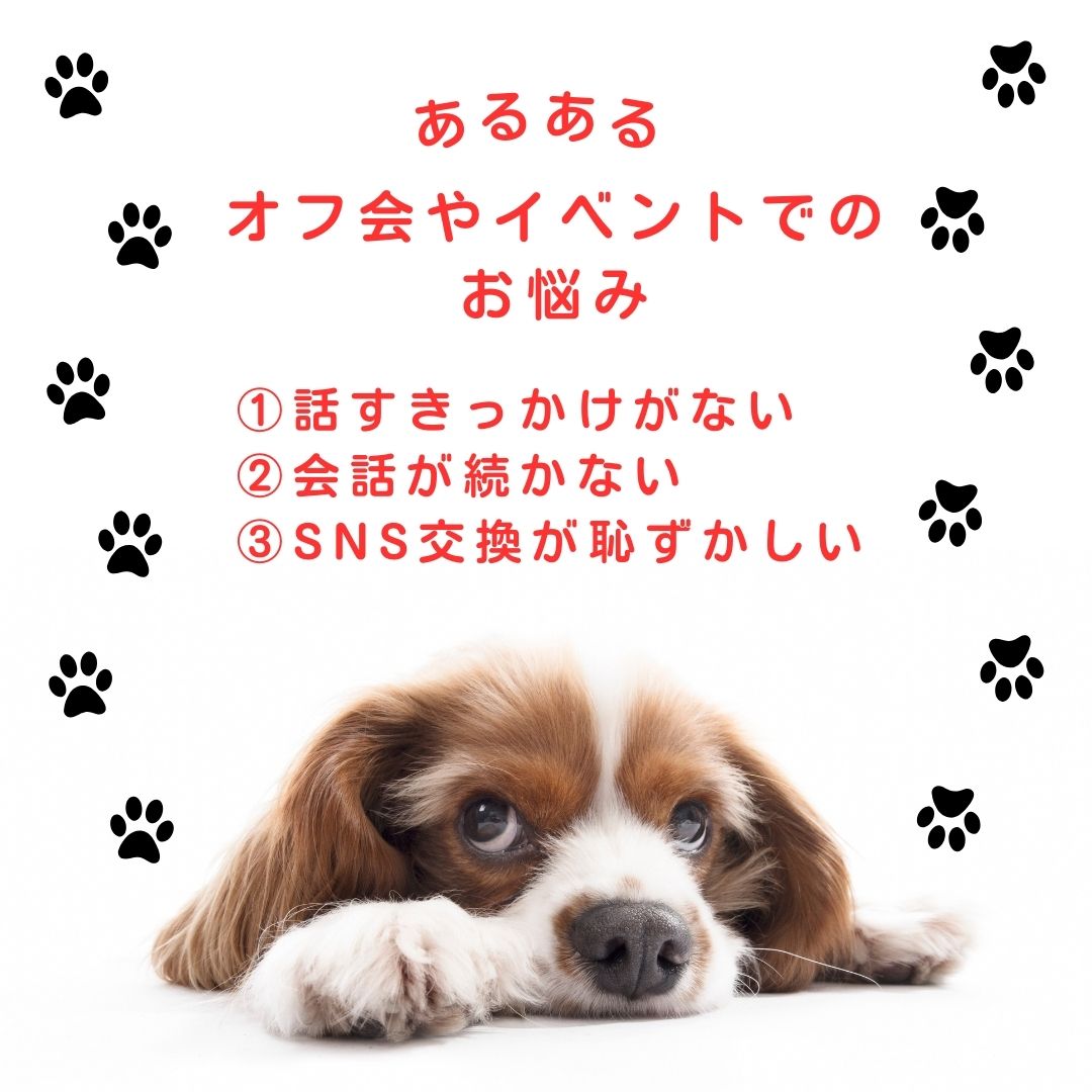 うちの子 シール ステッカー オ リジナルステッカー 写真 オーダ ーメイド 12枚×5種類 ペット 犬 猫 子ども 赤ちゃん オフ会 イ ベント ペットプリントラボ