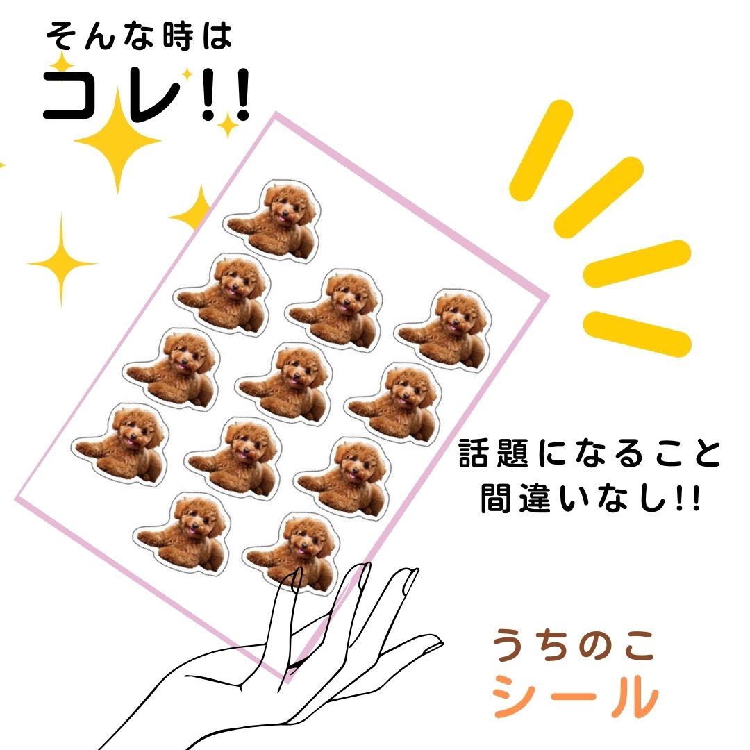 うちの子 シール ステッカー オ リジナルステッカー 写真 オーダ ーメイド 12枚×5種類 ペット 犬 猫 子ども 赤ちゃん オフ会 イ ベント ペットプリントラボ