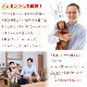 バッグ フェアトレードコットン フラット トートバッグ うちの子 うちのこ オリジナル オーダー オーダーメイド ペット 犬 猫 動物 子ども 赤ちゃん 家族 プレゼント