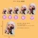 うちの子 うちのこ ペットプリントラボ オーダーメイド クッション 30cm 50cm 70cm 80cm 100cm 犬 猫 ペット 推し活 プレゼント オリジナル メモリアル 写真 抱き枕 ペットロス