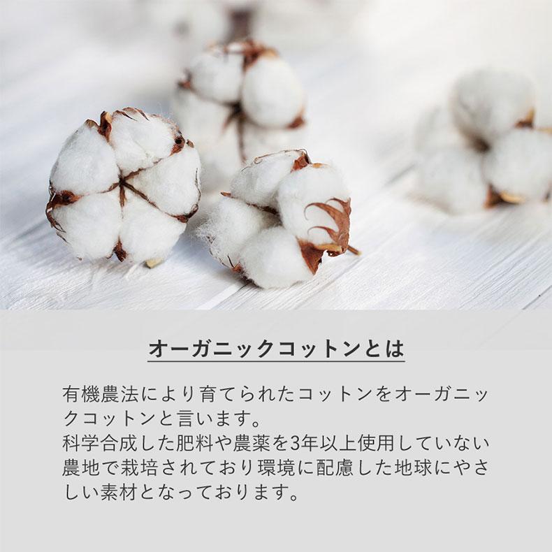 ポーチ ジッパー フェアトレードコットン フラットポーチ Mサイズ ナチュラル ベージュ ペット プリント 動物 猫 犬 プレゼント うちの子 うちのこ オリジナル オーダー オーダーメイド ペット 犬 猫 動物 子ども 赤ちゃん 家族