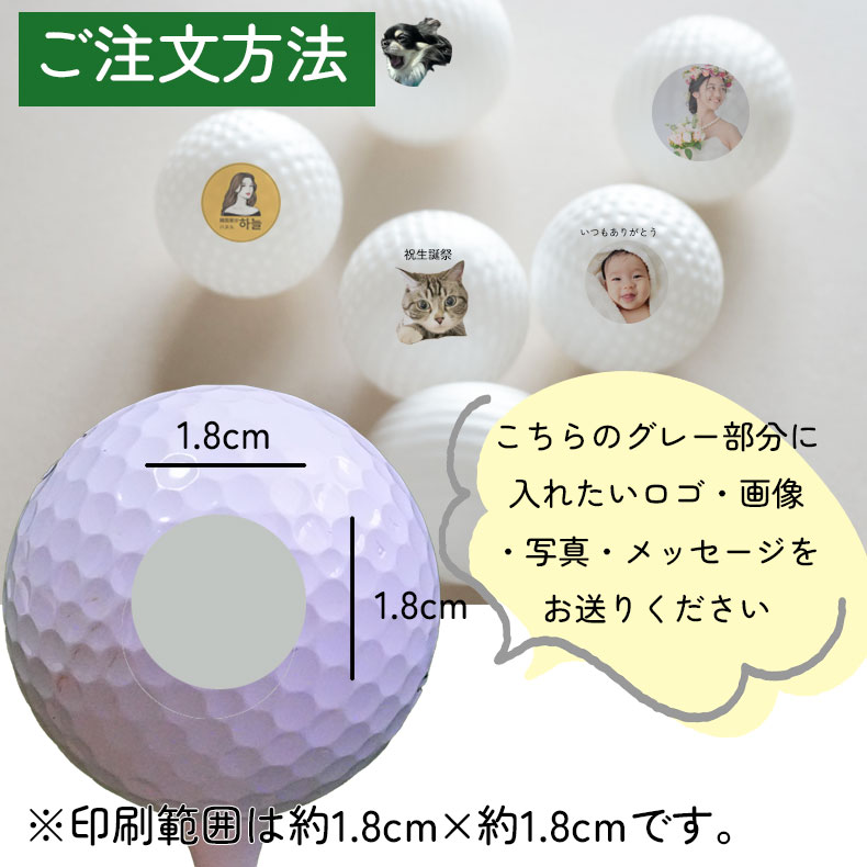 記念品 名入れ ゴルフボール うちの子 オリジナル 3個セット ペット 誕生日 プリント ギフト 父の日 母の日 犬 猫 推し活 ペットロス ペットプリントラボ