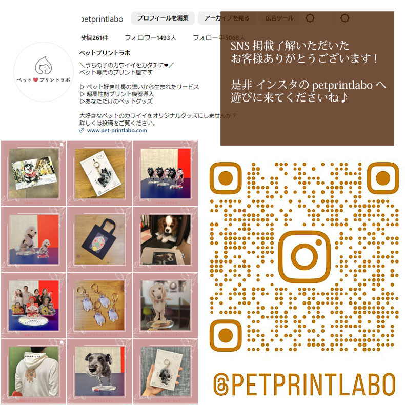 記念品 名入れ ゴルフボール うちの子 オリジナル 3個セット ペット 誕生日 プリント ギフト 父の日 母の日 犬 猫 推し活 ペットロス ペットプリントラボ