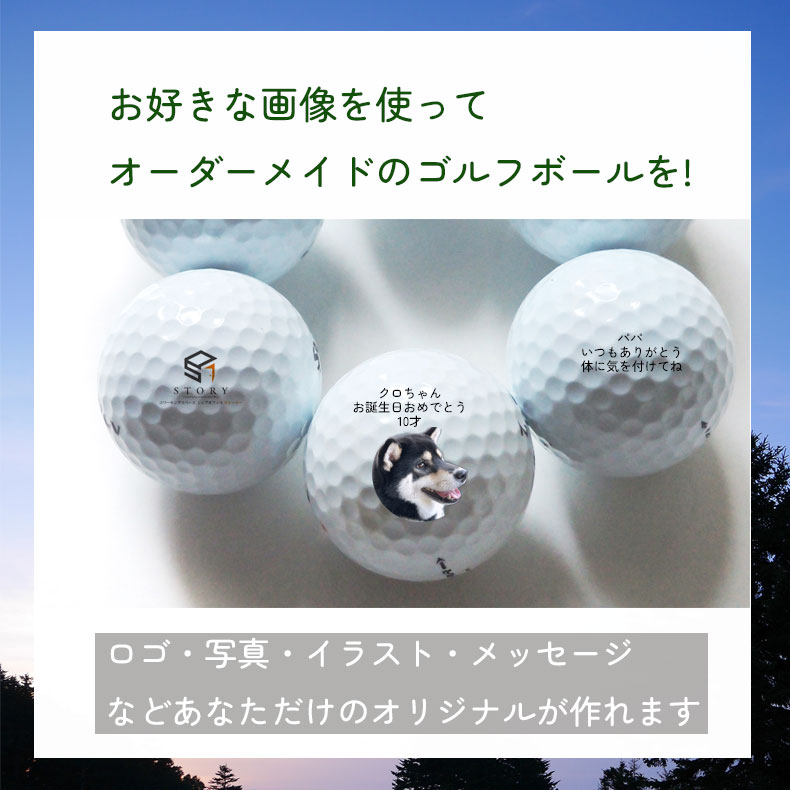 記念品 名入れ ゴルフボール うちの子 オリジナル 3個セット ペット 誕生日 プリント ギフト 父の日 母の日 犬 猫 推し活 ペットロス ペットプリントラボ