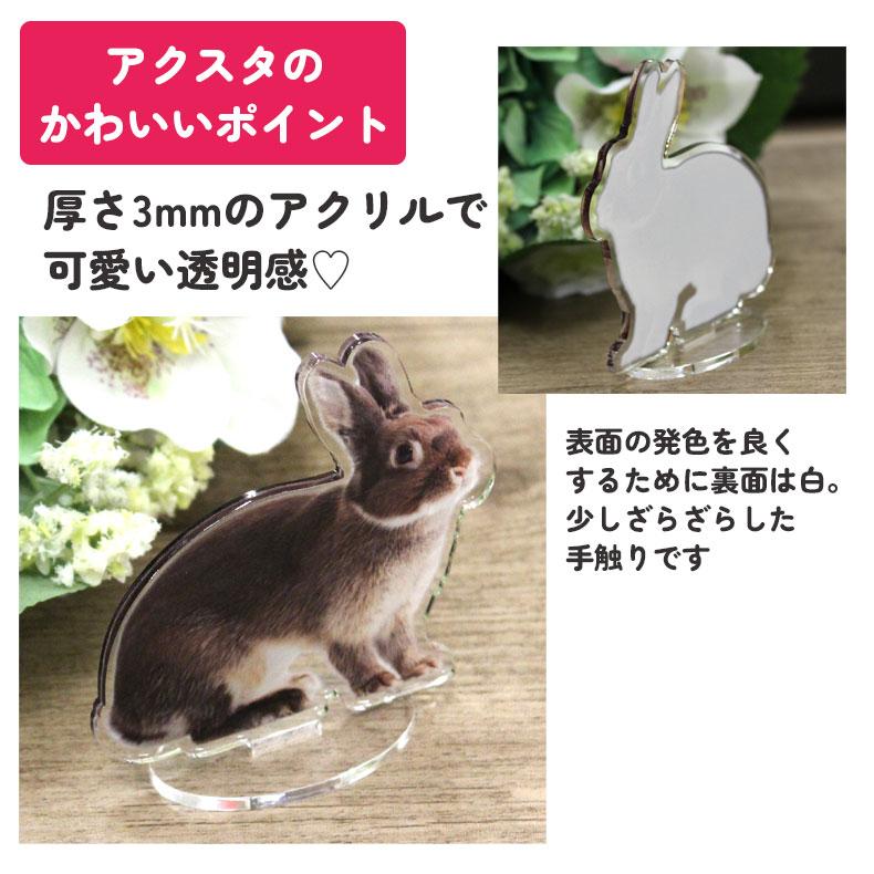 3個目無料 マイペット アクスタ 7cm オリジナル アクリルスタンド ペット 犬 猫 ネコ うさぎ ハムスター プレゼント フォトスタンド うちの子 うちのこ オリジナル オーダー オーダーメイド ペット 犬 猫 動物 子ども 赤ちゃん 家族 プレゼント