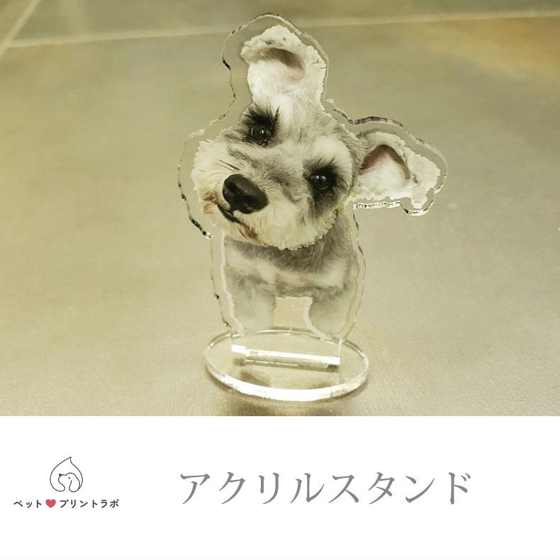 3個目無料 マイペット アクスタ 7cm オリジナル アクリルスタンド ペット 犬 猫 ネコ うさぎ ハムスター プレゼント フォトスタンド うちの子 うちのこ オリジナル オーダー オーダーメイド ペット 犬 猫 動物 子ども 赤ちゃん 家族 プレゼント