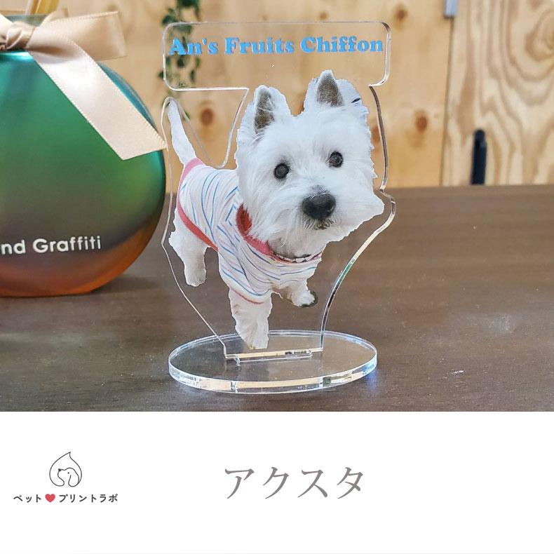 3個目無料 マイペット アクスタ 7cm オリジナル アクリルスタンド ペット 犬 猫 ネコ うさぎ ハムスター プレゼント フォトスタンド うちの子 うちのこ オリジナル オーダー オーダーメイド ペット 犬 猫 動物 子ども 赤ちゃん 家族 プレゼント