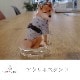 3個目無料 マイペット アクスタ 7cm オリジナル アクリルスタンド ペット 犬 猫 ネコ うさぎ ハムスター プレゼント フォトスタンド うちの子 うちのこ オリジナル オーダー オーダーメイド ペット 犬 猫 動物 子ども 赤ちゃん 家族 プレゼント