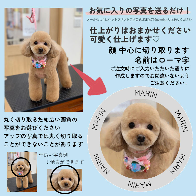 ペットプリントラボ オリジナル Tシャツ シャツ ペット 犬 猫 ネコ 子供 赤ちゃん メンズ キッズ レディース 半袖 無地 ロゴ ゆったり カジュアル