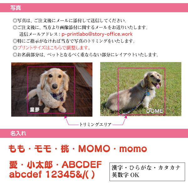 ピクチャーボード 写真立て 絵画 写真 アクリルスタンドボード はがきサイズ うちの子 うちのこ オリジナル オーダー オーダーメイド ペット 犬 猫 動物 子ども 赤ちゃん 家族 プレゼント