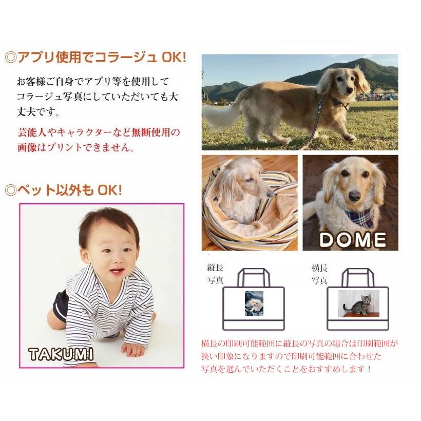 ピクチャーボード 写真立て 絵画 写真 アクリルスタンドボード はがきサイズ うちの子 うちのこ オリジナル オーダー オーダーメイド ペット 犬 猫 動物 子ども 赤ちゃん 家族 プレゼント