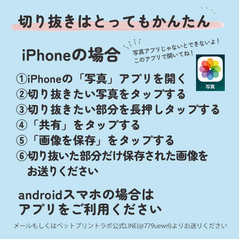 アクリルスタンド 15cm [3個目無料/送料無料] フォトスタンド アクスタ 子供 オリジナル 名入れ 敬老の日 七五三 結婚祝い 還暦祝い 長寿祝 誕生日 出産祝い Lサイズ 150mm 15センチ