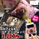 オリジナル クッション 片面 プリント 生地 カバー 中身 写真入り 20×20 プレゼント イラスト ペット 子供 孫 家族 犬 猫 ギフト ペットプリントラボ