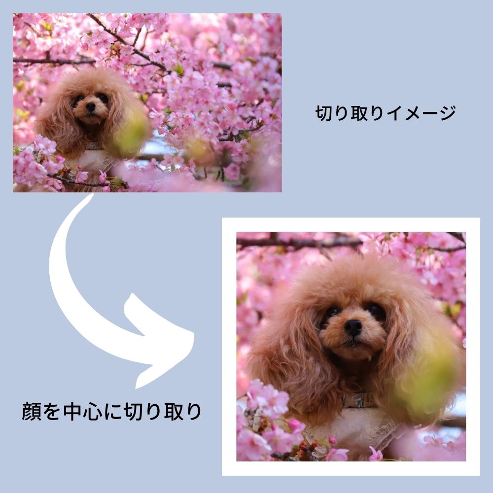 オリジナル クッション 両面 プリント 生地 カバー 中身 写真入り 20×20 プレゼント イラスト ペット 子供 孫 家族 犬 猫 ギフト ペットプリントラボ