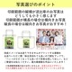 ペットプリントラボ オーダーメイド バッグ 厚手 コットン ミニ サコッシュ ショルダーバッグ お散歩 ペット 犬 猫 家族 こども 父の日 母の日 プレゼント