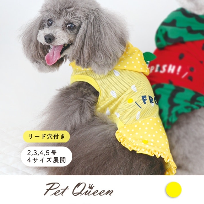 〜小春日和〜✨メモリーカフェ✨ ハンドメイド 犬服 犬服 〜小春日和〜✨メモリーカフェ✨様専用ページ-【本日のクーポン】