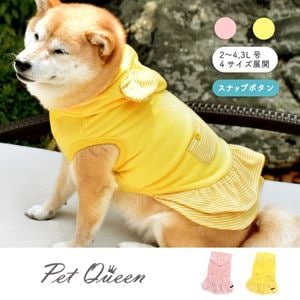 2025ǯ߿ʡۥޥߥߥޥ