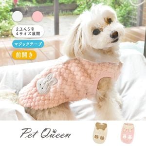 2025ǯ߿ʡۤפפˤޤ뤺