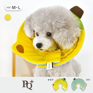 ��PQ+�ۥ��ꥶ�٥����顼�ʥ��եȡ˥Хʥ�