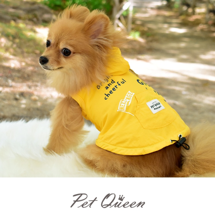 ��2025ǯ���߿����ʡۥ�����ɤ��ޥ֥졼����