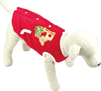 ��2025ǯ���߿����ʡۤ��ޥ����֥륾��