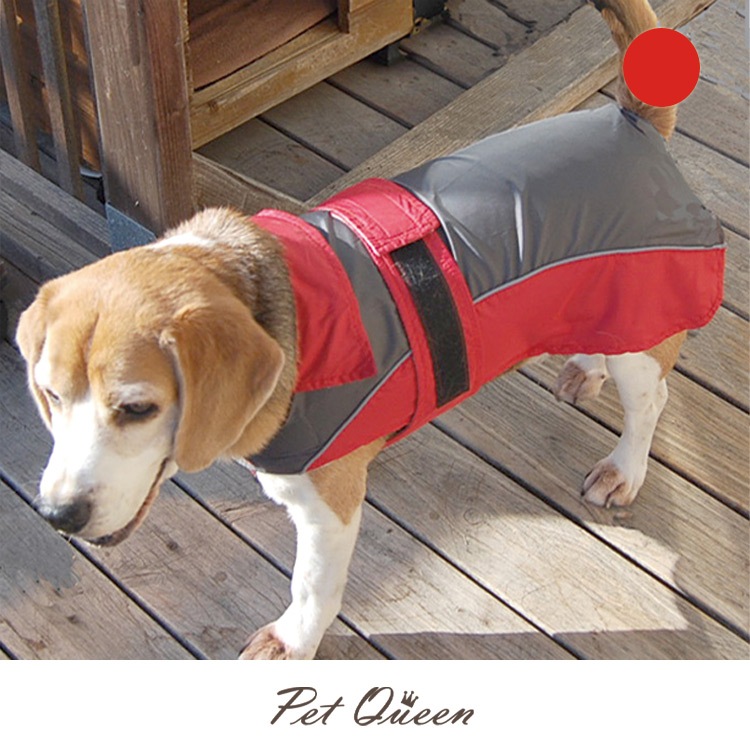 ��PQ��UL�֥���ȥ�饤�ȡץ쥤�󥳡���̵�ϡ�2�桦3�桦4�桦5�桦6���5��.6�桡8�������ͽ���