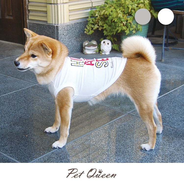 22年春夏新商品 みつけてプティクマ クール加工 防蚊加工 Brand Petqueen 犬服などペット服とペット用品の販売ペット クイーン