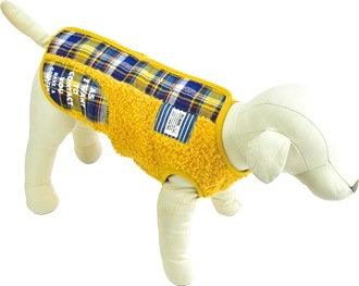 ��2025ǯ���߿����ʡۥץåȥ�������å�