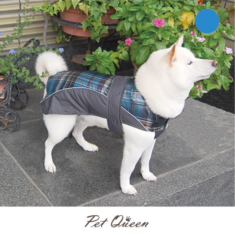 PQUL֥ȥ饤ȡץ쥤󥳡ȡ9桦10