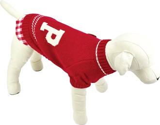 ��2025ǯ���߿����ʡۥ���ĥ쥤�䡼�ɥ˥å�