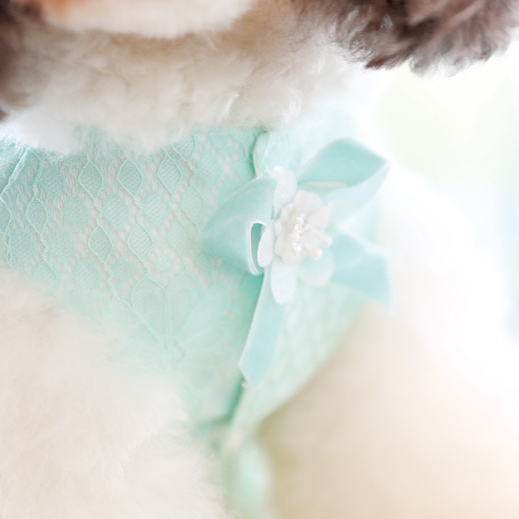 Ma petiteۥȥ꡼̡ʥ꡼