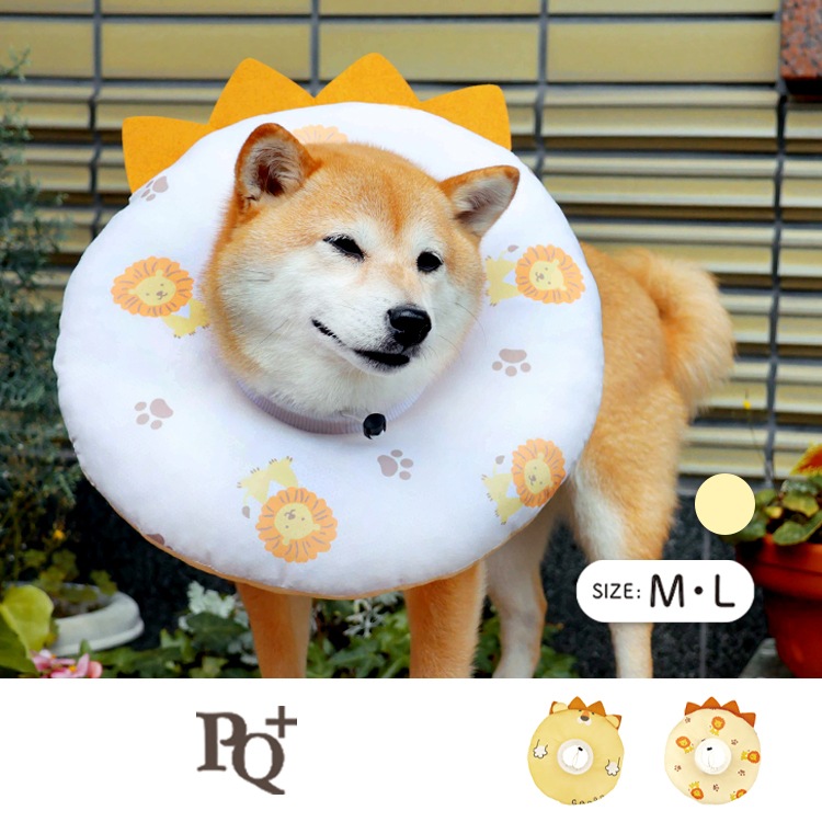 ��2024ǯ���߿����ʡ� ���å���󥫥顼�ʥ饤�����