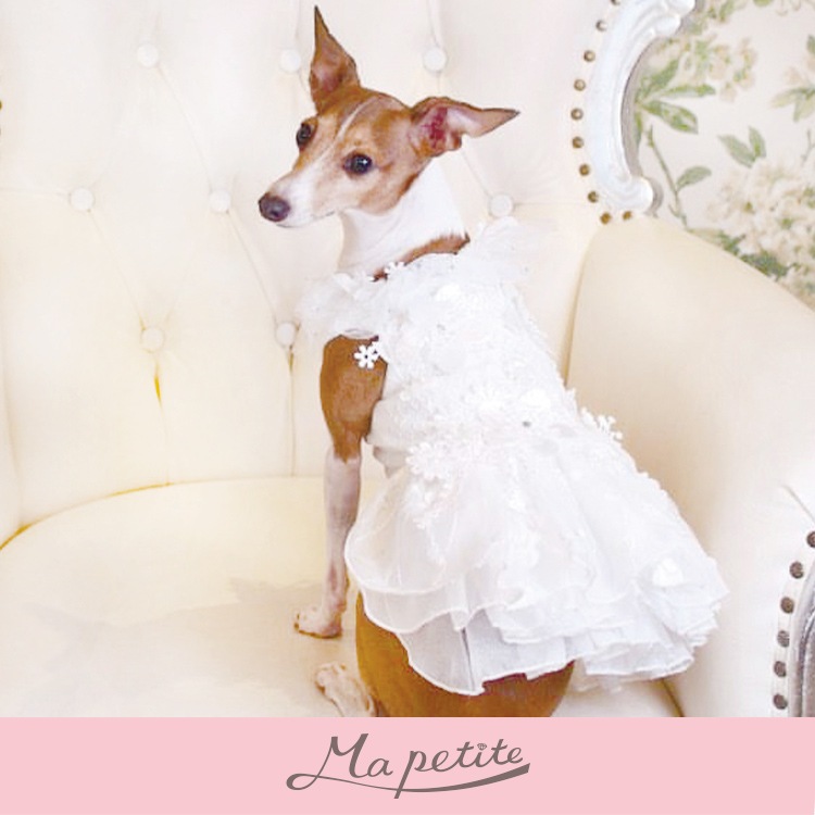 ��Ma petite�ۥ��꡼�����ʥۥ磻�ȡ�