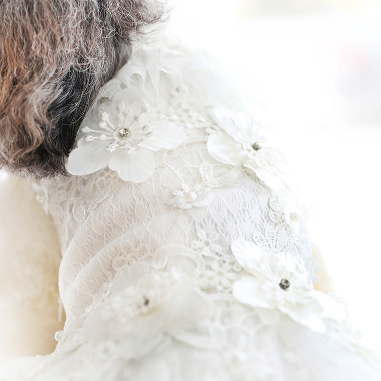 ��Ma petite�ۥ��꡼�����ʥۥ磻�ȡ�