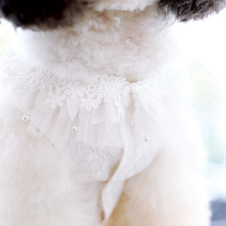 ��Ma petite�ۥ��꡼�����ʥۥ磻�ȡ�