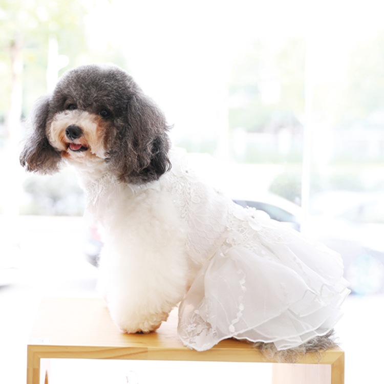 ��Ma petite�ۥ��꡼�����ʥۥ磻�ȡ�