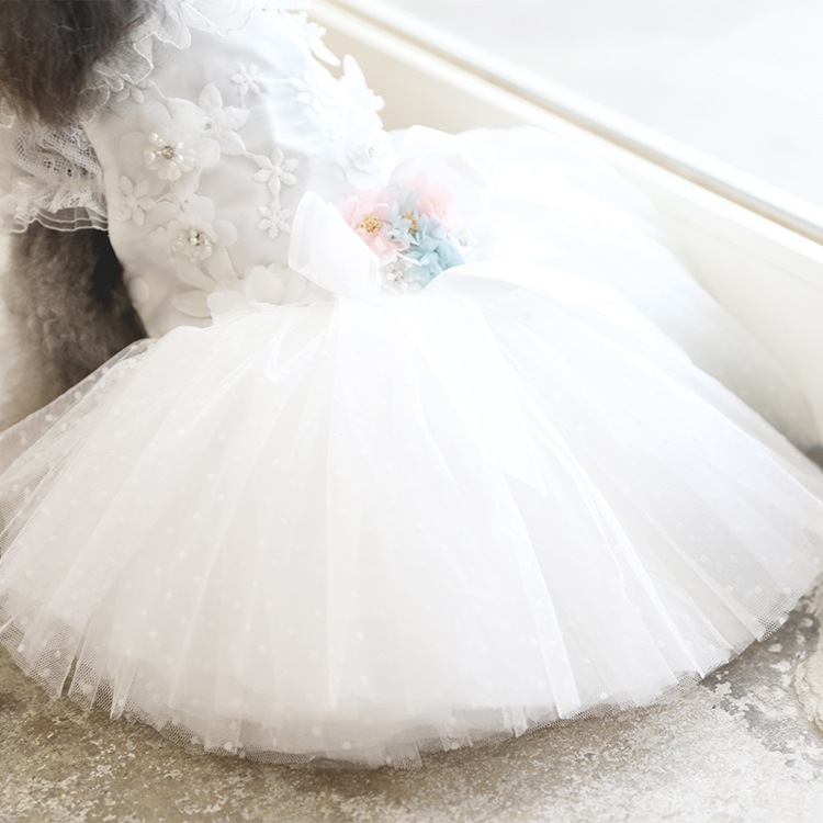 ��Ma petite�ۥץ�ޡʥۥ磻�ȡ�