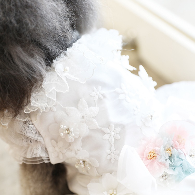 ��Ma petite�ۥץ�ޡʥۥ磻�ȡ�