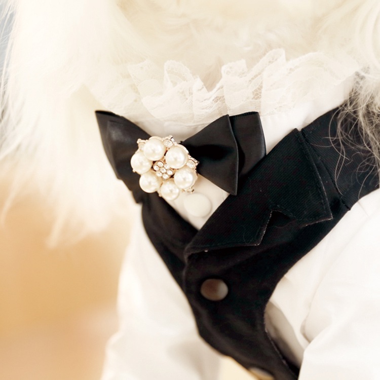 ��Ma petite�ۥ���å����ʥ��졼�ˡʥ֥�å���