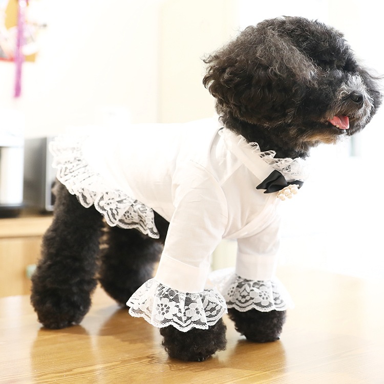 ��Ma petite�ۥ���å����ʥ��졼�ˡʥ֥�å���