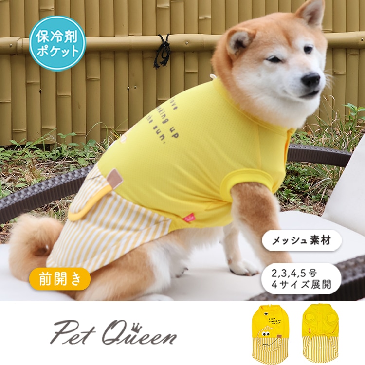 ��2026ǯ�ղƿ����ʡۥХʥʤ���ʡ��������ۡ�����ޥݥ��å��ա�