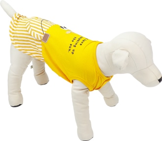 ��2026ǯ�ղƿ����ʡۥХʥʤ���ʡ��������ۡ�����ޥݥ��å��ա�