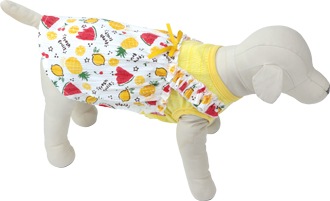 ��2025ǯ�ղƿ����ʡۥե�å��奭��ߡ�����ޥݥ��åȡۡڥ������