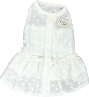 ��2026ǯ�ղƿ����ʡۥե�������ݥ�����س����ۡ�����ޥݥ��å��ա�