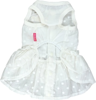 ��2026ǯ�ղƿ����ʡۥե�������ݥ�����س����ۡ�����ޥݥ��å��ա�