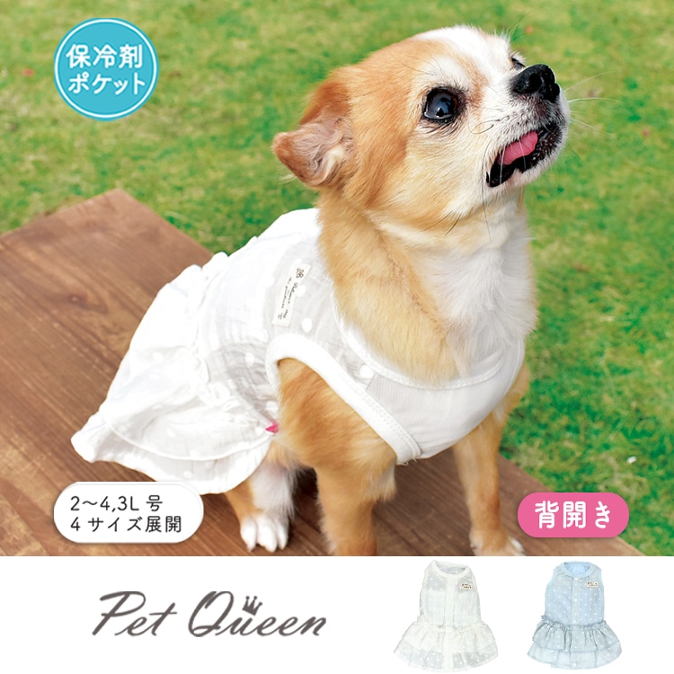 ��2026ǯ�ղƿ����ʡۥե�������ݥ�����س����ۡ�����ޥݥ��å��ա�