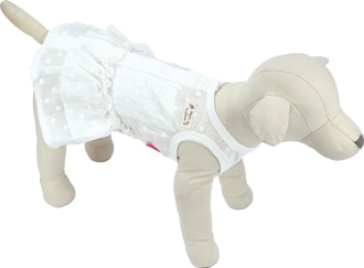 ��2026ǯ�ղƿ����ʡۥե�������ݥ�����س����ۡ�����ޥݥ��å��ա�