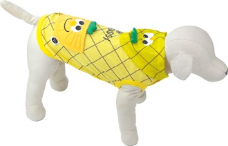 ��2025ǯ�ղƿ����ʡۥѥ���ե��ɡ��������ۡڥ�����ù���